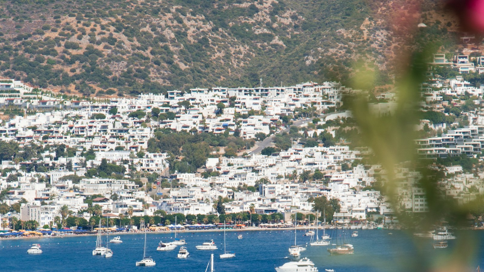 Bodrum'da Villa Yaptırmak: Maliyet, İmar ve Süreç (2026)